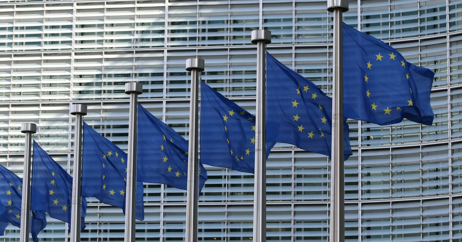 European Union flags flying in front of a glass office building
